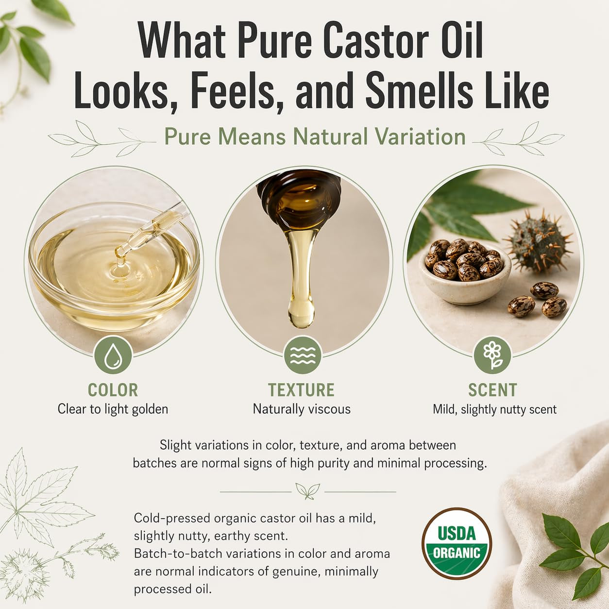 Organic Castor Oil Cold Pressed in Amber Glass Bottle (16 Oz) USDA Certified, Hexane Free - Moisturizing Oil for Hair, Skin, Face, Eyelashes, Brows, Nails, and Castor Wraps
